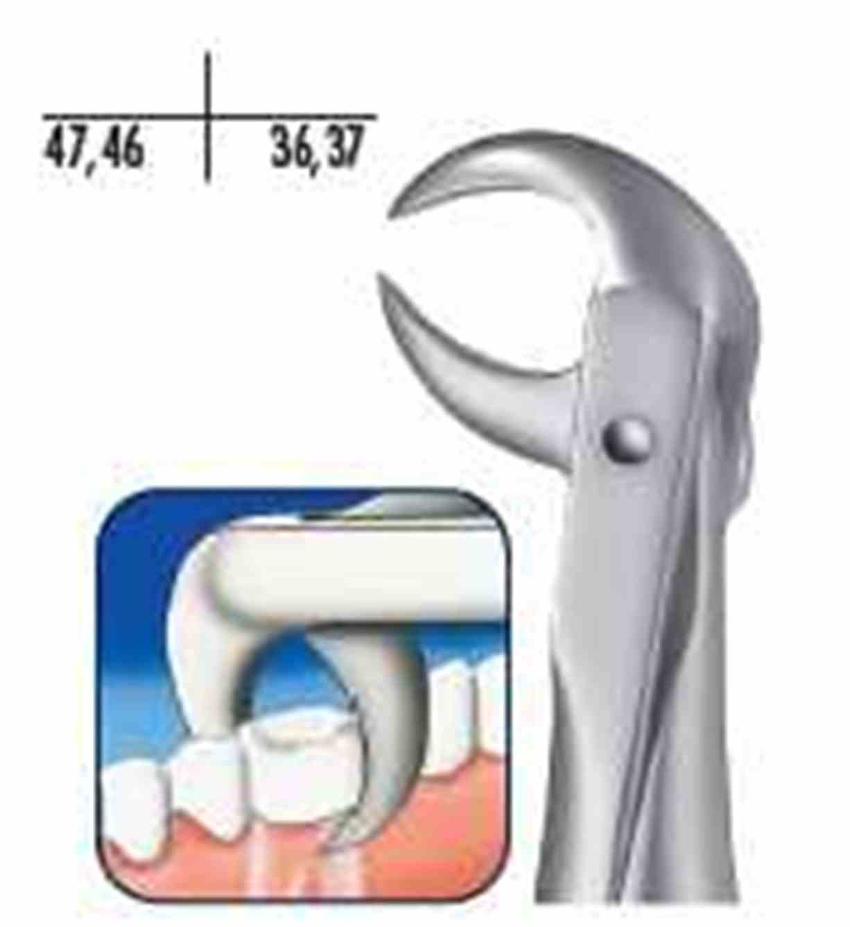 Zahnzange L.S. 86C UK Molar St