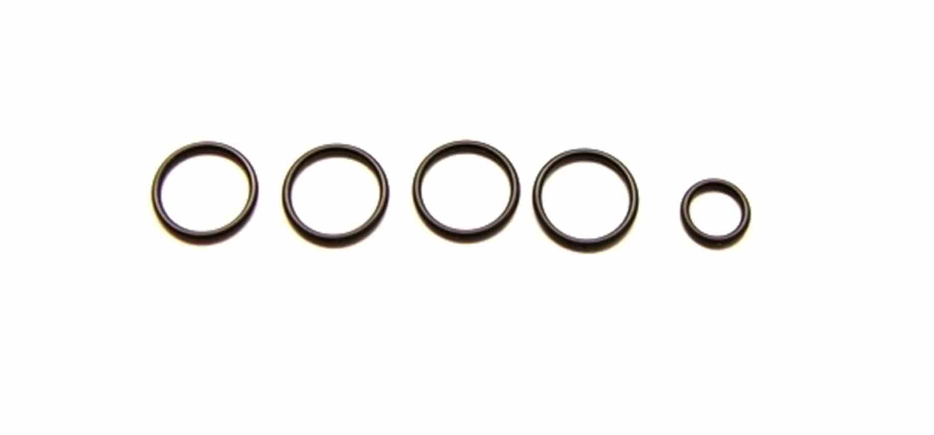 O-Ring f. Prophy Mate Ptl 5er Set