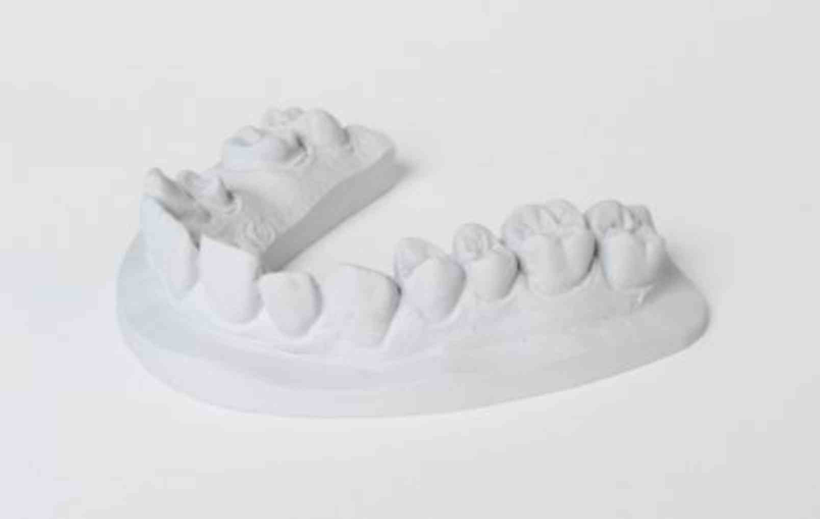 dentona No.1 delphin 5 kg dentona No.1 delphin 5 kg
