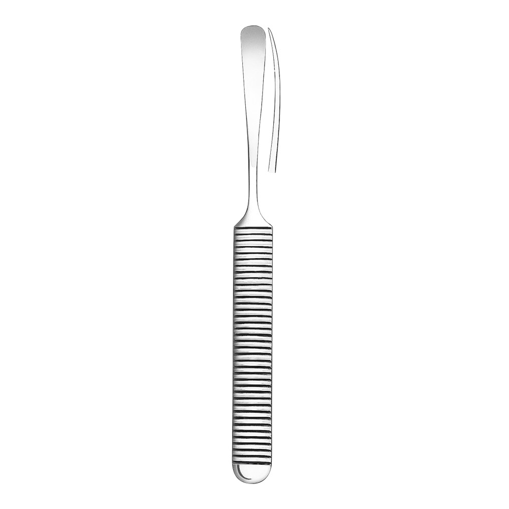 Gaumen Raspatorium Raspatorium 1805 St | LG97809